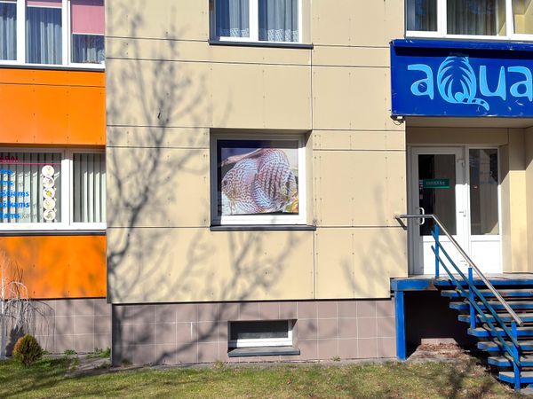 Mažeikių r. sav., Mažeikiai