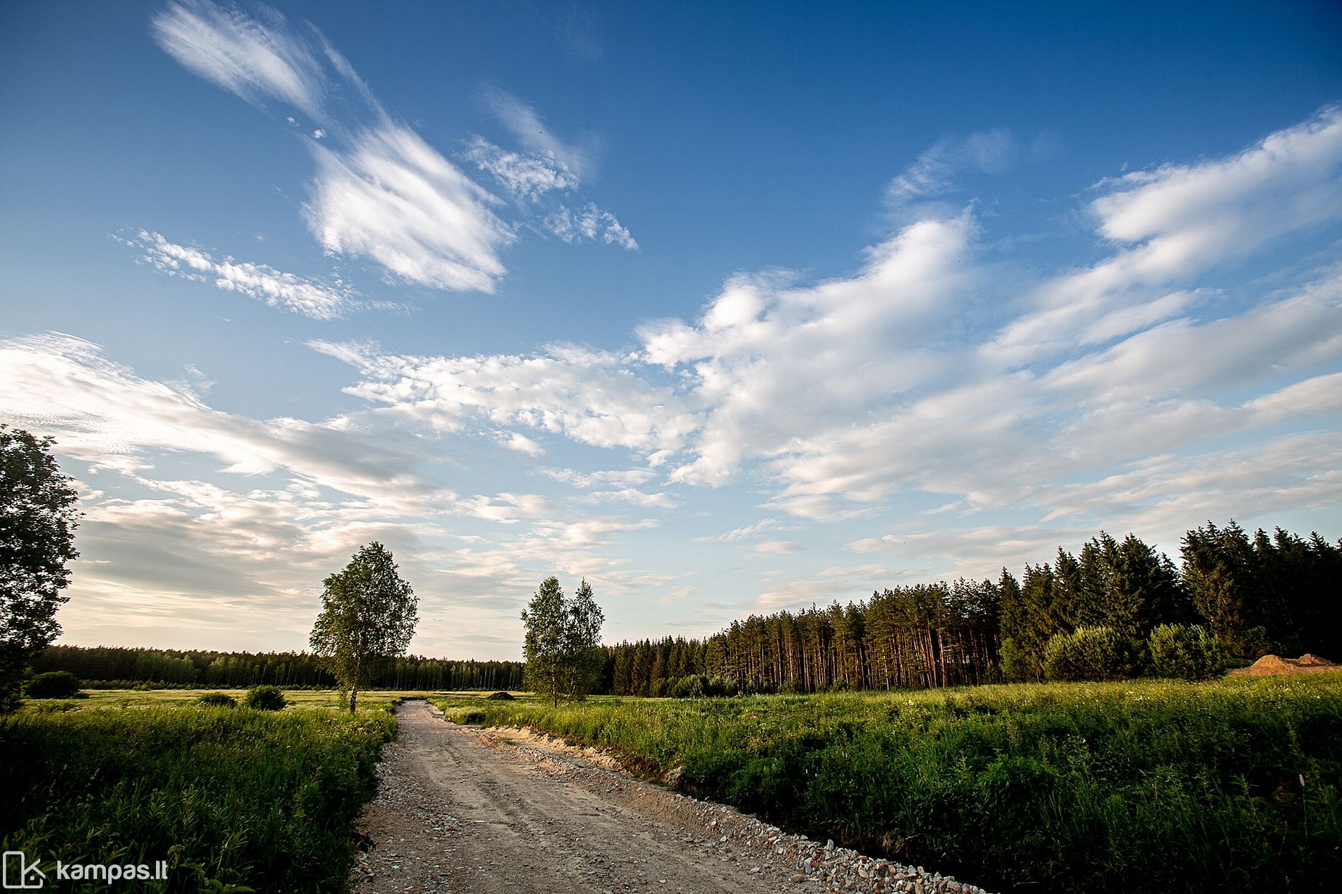 Main Image Vilniaus r. sav., Gailiūnai, Žvaigždėtoji g.