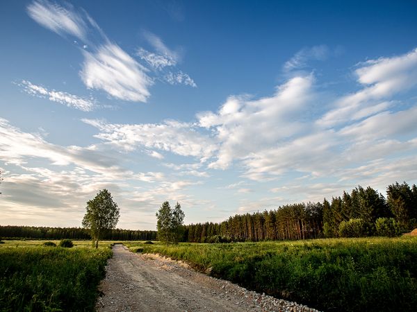 Vilniaus r. sav., Gailiūnai