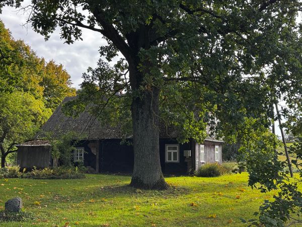 Prienų r. sav., Prienlaukys