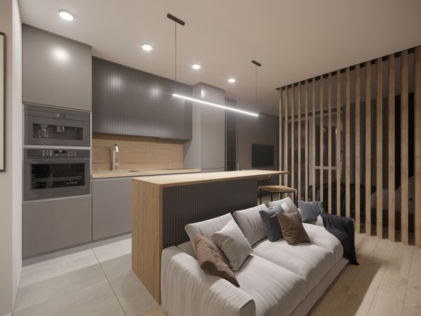 Vilnius, Šnipiškės