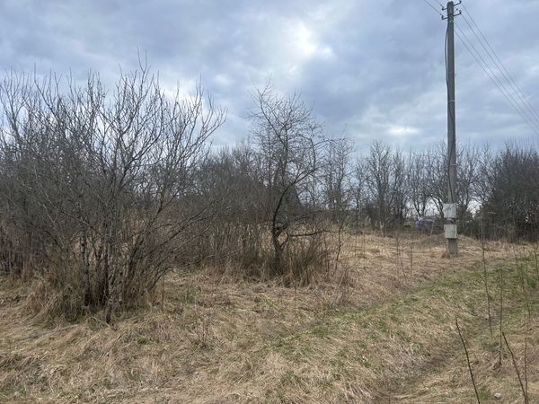 Ukmergės r. sav., Jogvilai