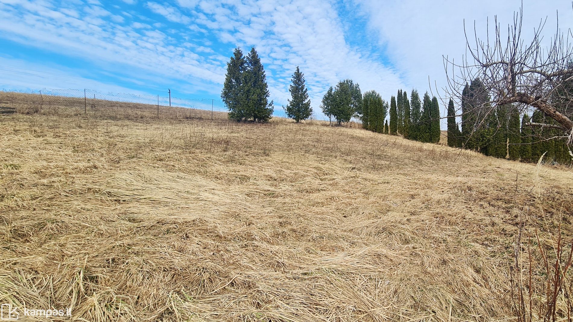 Main Image Kaunas, Panemunė, Neužmirštuolių tak.