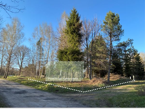 Vilniaus r. sav., Šepečiai