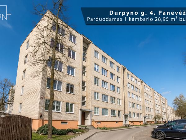 Panevėžys, Centras