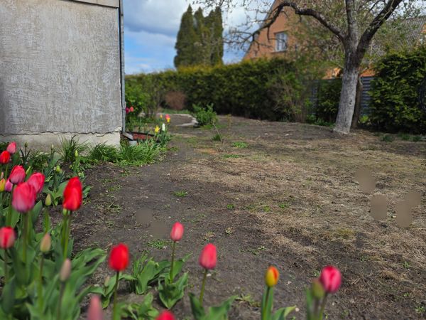 Marijampolės sav., Marijampolė, Centras