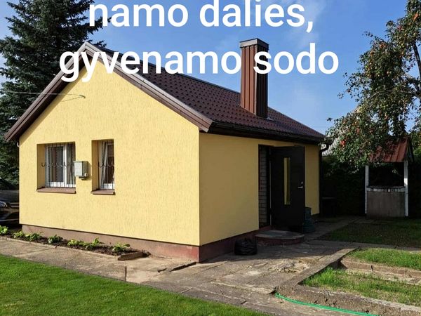 Panevėžys, Rožės