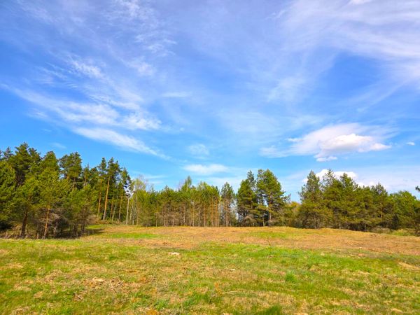 Molėtų r. sav., Aidiečiai