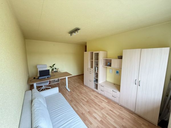 Kaunas, Panemunė