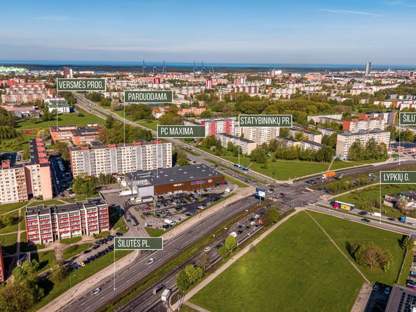 Klaipėda, Vingis