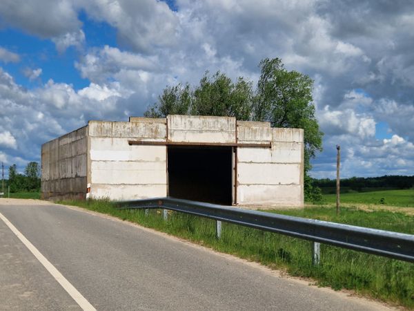 Elektrėnų sav., Lingiai